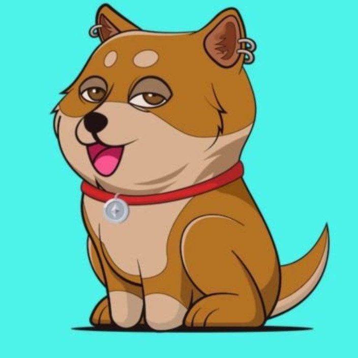 dolphinring.base.eth Basenames (.base.eth domains) based on ENS PFP