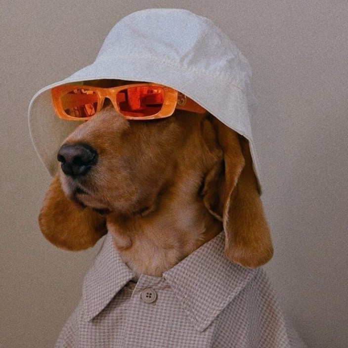 doshgood.eth Ethereum Name Service (ENS and .eth domain) PFP