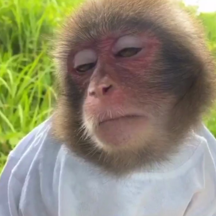 driftprotocolscam.eth Ethereum Name Service (ENS and .eth domain) PFP