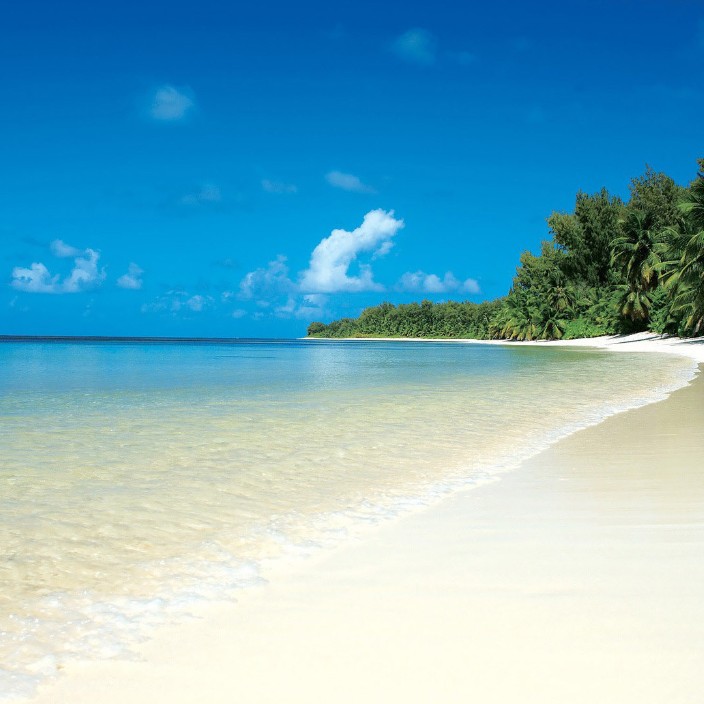 duanchang.eth Ethereum Name Service (ENS and .eth domain) PFP