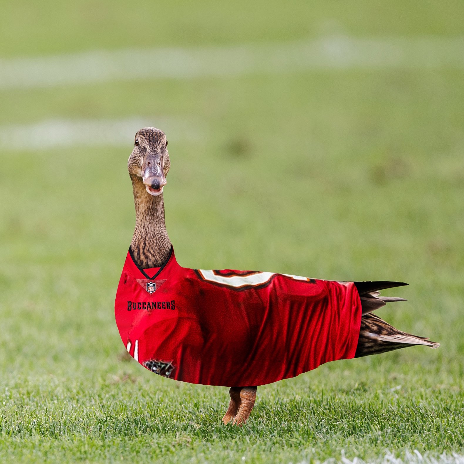 duckaneers.eth Ethereum Name Service (ENS and .eth domain) PFP