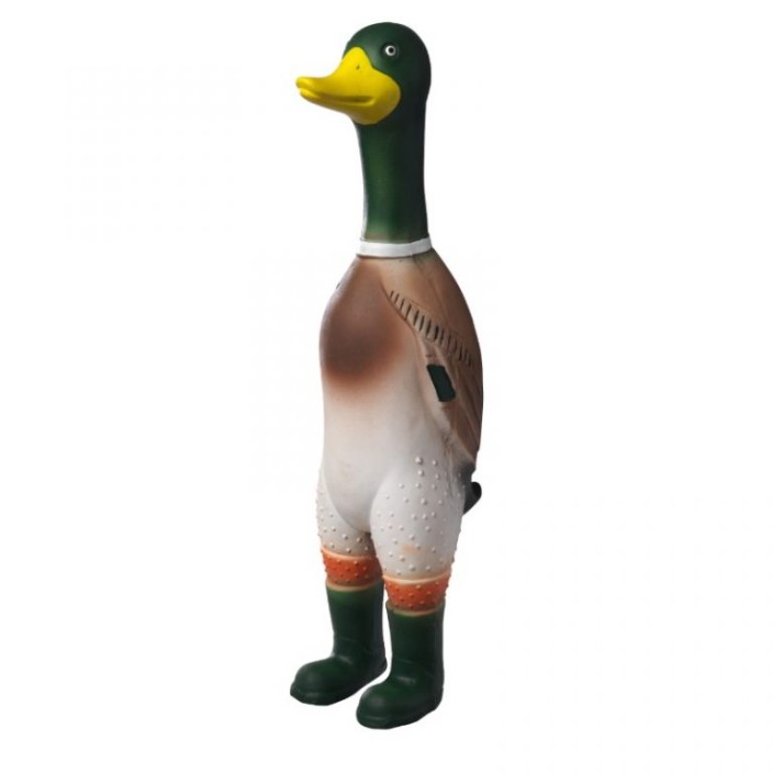 Duckboots (duckboots.eth) Ethereum Name Service (ENS and .eth domain) PFP