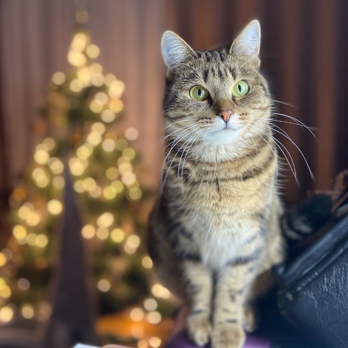 duoksi.eth Ethereum Name Service (ENS and .eth domain) PFP