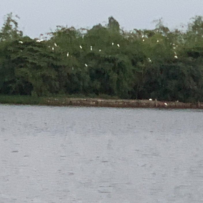 duykscd.eth Ethereum Name Service (ENS and .eth domain) PFP