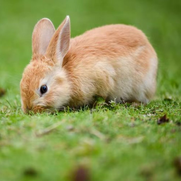 dxcretwyuhggfh99.eth Ethereum Name Service (ENS and .eth domain) PFP