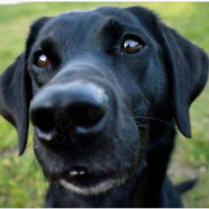 dyqpc.eth Ethereum Name Service (ENS and .eth domain) PFP