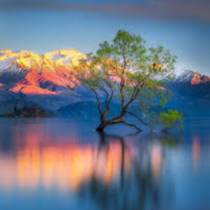 dzastinsvift.eth Ethereum Name Service (ENS and .eth domain) PFP