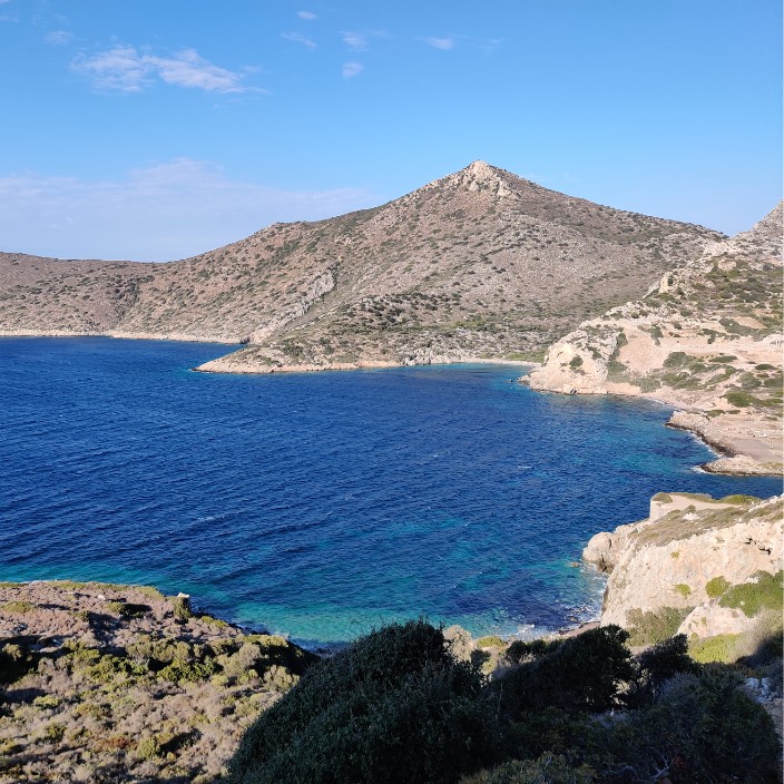 düzmühendis.eth Ethereum Name Service (ENS and .eth domain) PFP