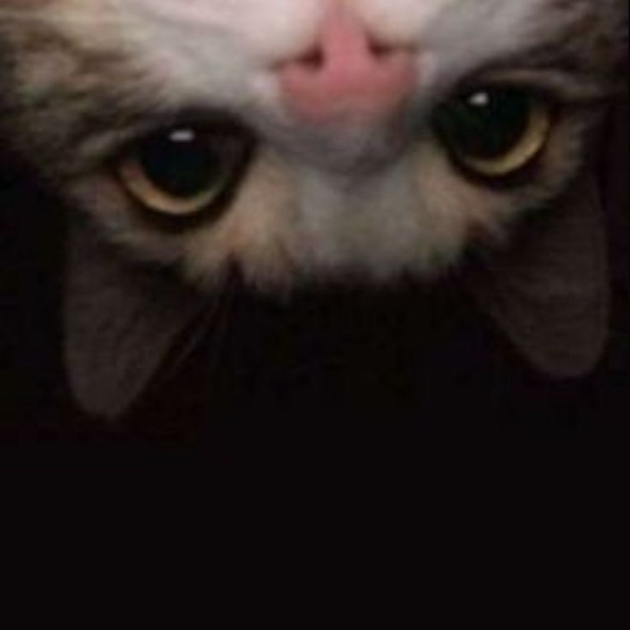 easymone.eth Ethereum Name Service (ENS and .eth domain) PFP