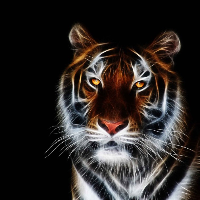 ebrow.eth Ethereum Name Service (ENS and .eth domain) PFP