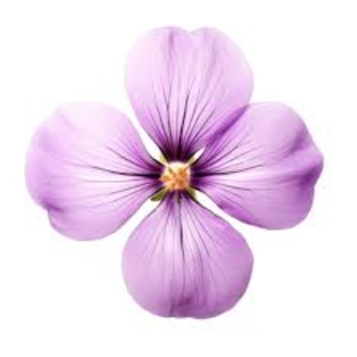 hgy778rjruidor8rurj.lens Lens social identity (.lens handle) PFP