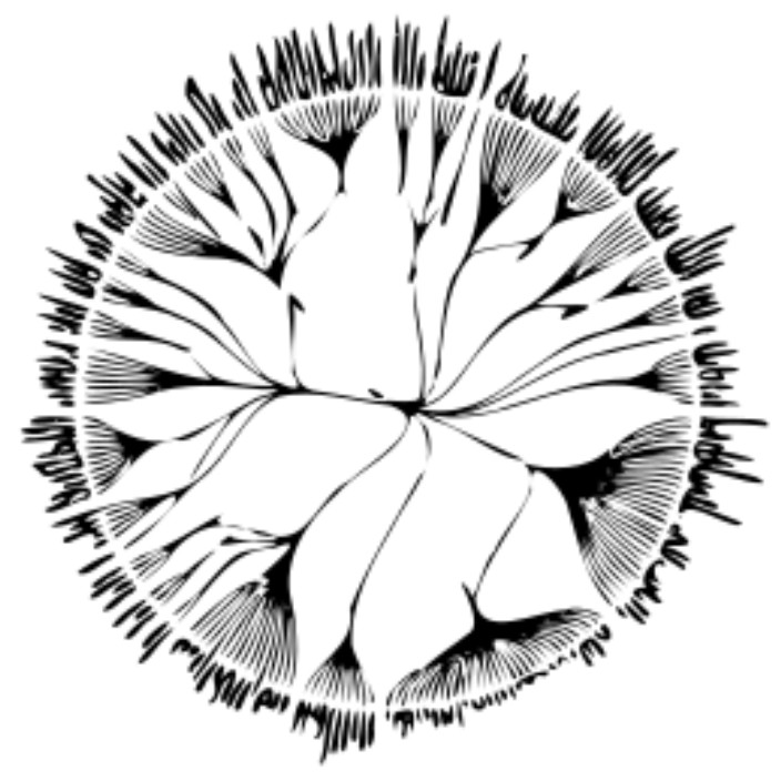 edgecollective.eth Ethereum Name Service (ENS and .eth domain) PFP