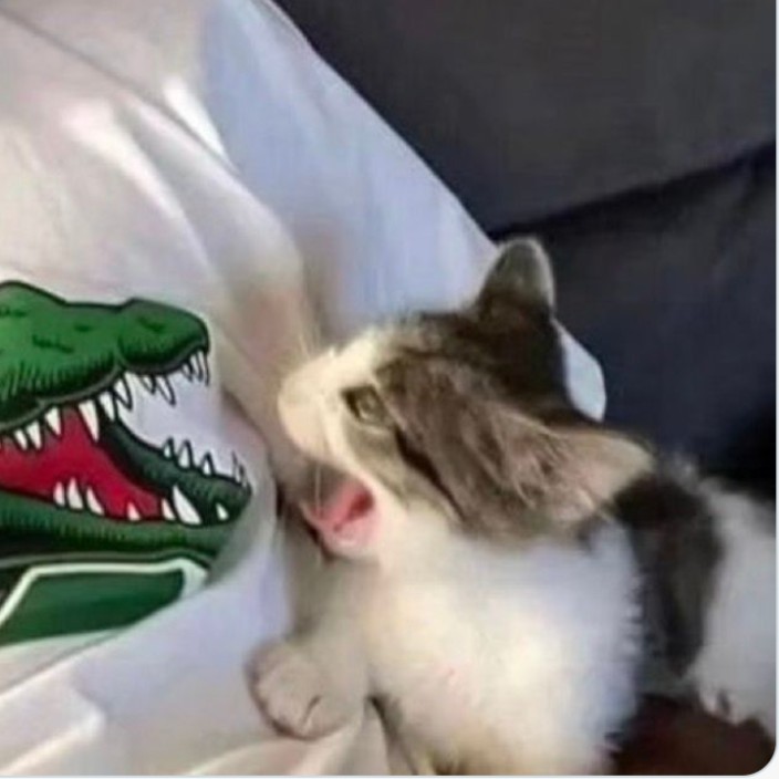 edrsfordrei.eth Ethereum Name Service (ENS and .eth domain) PFP