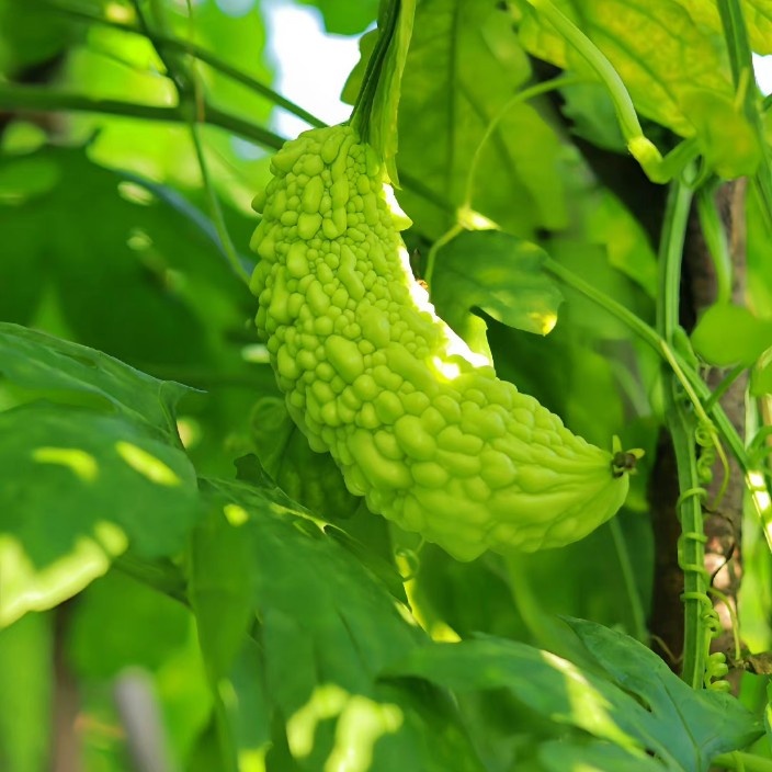 eeeeee43.eth Ethereum Name Service (ENS and .eth domain) PFP