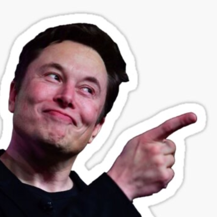 Elon Musk (eliamuschio.eth) Ethereum Name Service (ENS and .eth domain) PFP