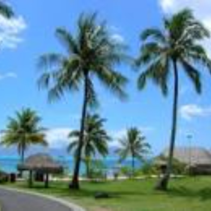 elisa0.eth Ethereum Name Service (ENS and .eth domain) PFP