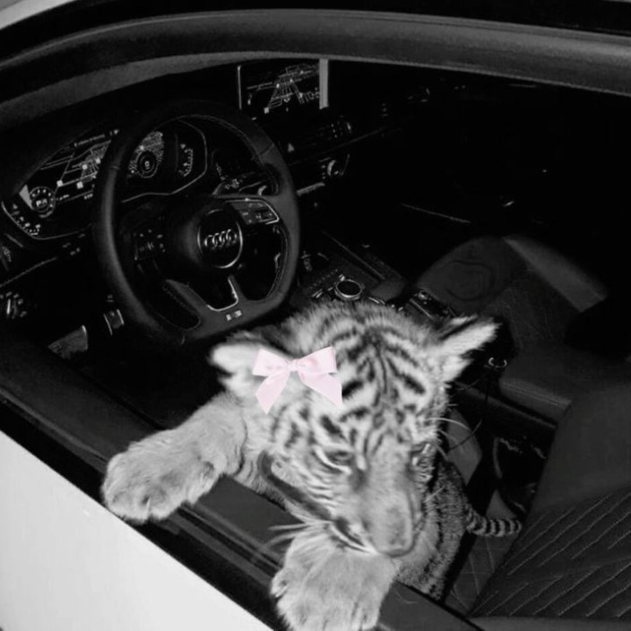 empyreus.eth Ethereum Name Service (ENS and .eth domain) PFP