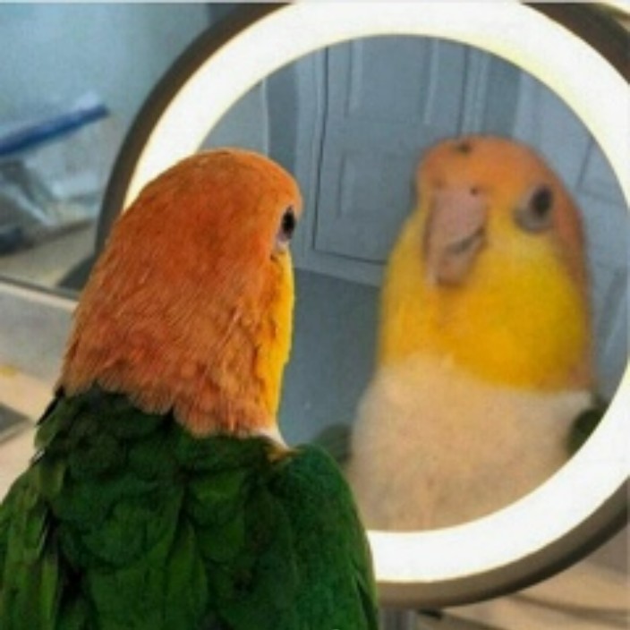 endear.eth Ethereum Name Service (ENS and .eth domain) PFP