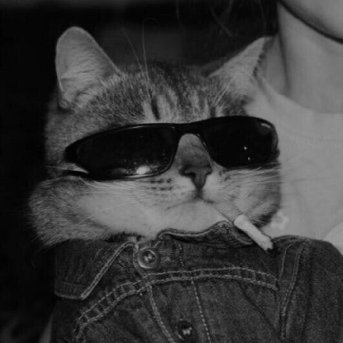 enigma404.eth Ethereum Name Service (ENS and .eth domain) PFP