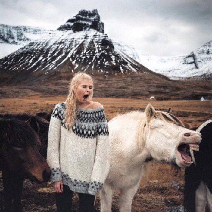 eshek.eth Ethereum Name Service (ENS and .eth domain) PFP