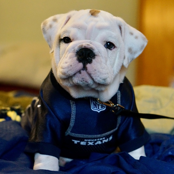 exitsociety.eth Ethereum Name Service (ENS and .eth domain) PFP