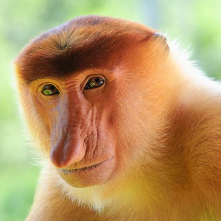 fahamore.base.eth Basenames (.base.eth domains) based on ENS PFP