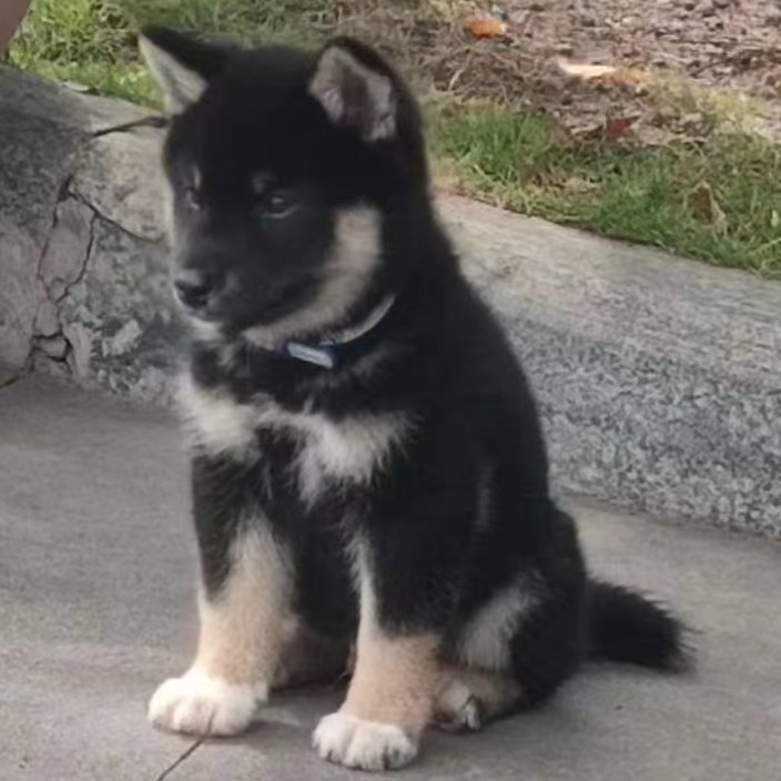 leevmore.linea.eth Linea Name Service (.linea.eth domains) based on ENS PFP