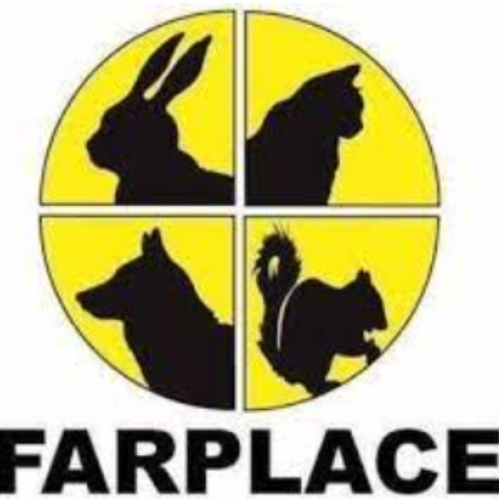 farplace.eth Ethereum Name Service (ENS and .eth domain) PFP