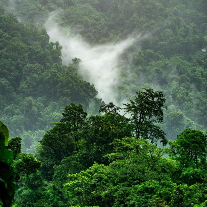 farshidsharafpoor234.eth Ethereum Name Service (ENS and .eth domain) PFP