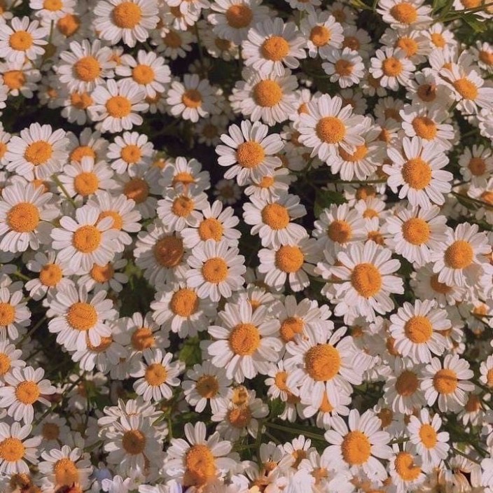 fearlessbarry.eth Ethereum Name Service (ENS and .eth domain) PFP