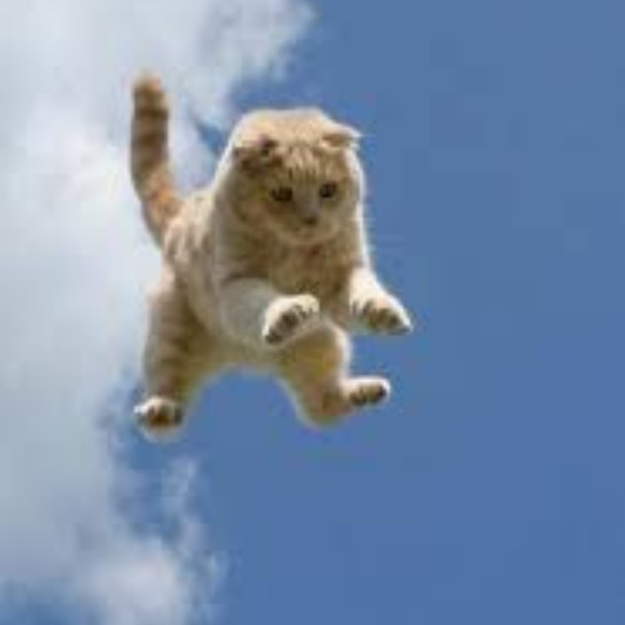 feitianmao.eth Ethereum Name Service (ENS and .eth domain) PFP