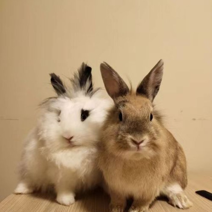 fgvcrtxdsu576.eth Ethereum Name Service (ENS and .eth domain) PFP