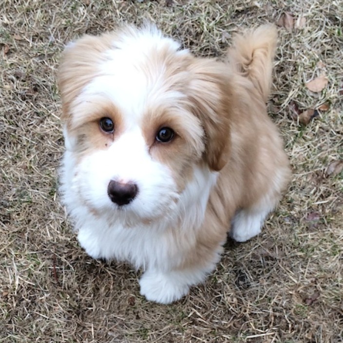 fieldy.eth Ethereum Name Service (ENS and .eth domain) PFP