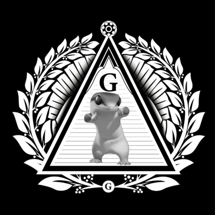 fijifi.eth Ethereum Name Service (ENS and .eth domain) PFP