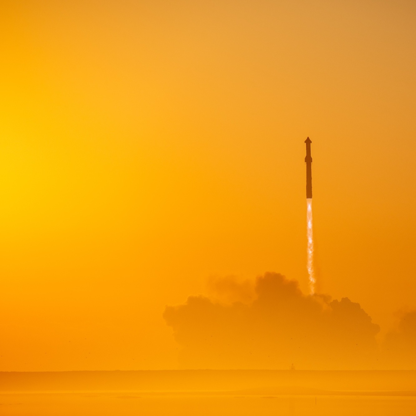 finds.eth Ethereum Name Service (ENS and .eth domain) PFP