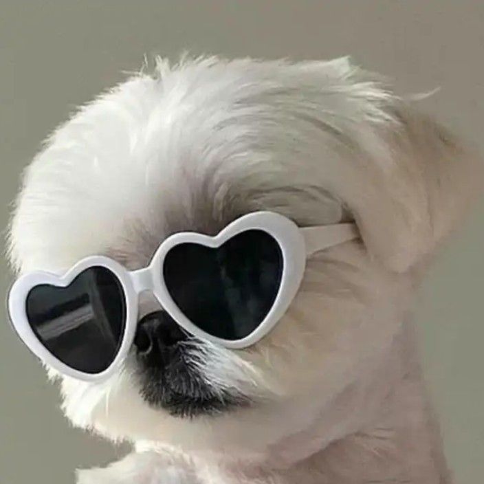 firewhitefox.eth Ethereum Name Service (ENS and .eth domain) PFP