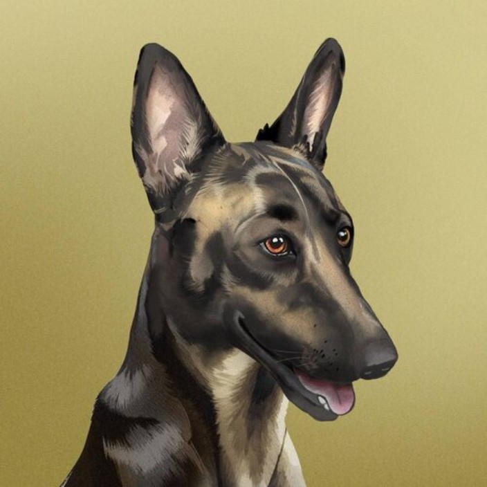 Broccoli (firstbroccoli.eth) Ethereum Name Service (ENS and .eth domain) PFP