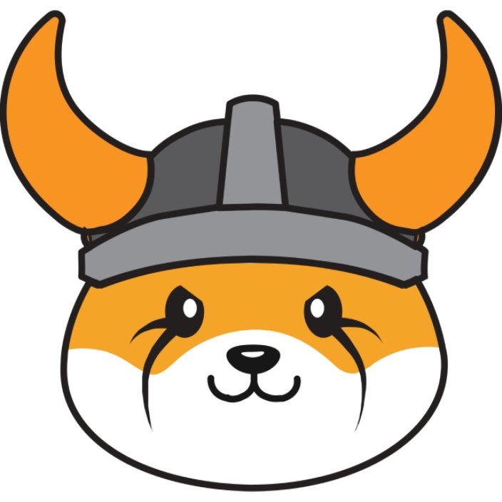 flokideployer.eth Ethereum Name Service (ENS and .eth domain) PFP