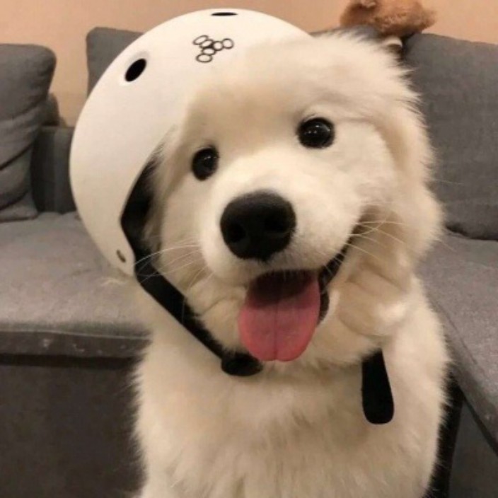 flyingfish888.eth Ethereum Name Service (ENS and .eth domain) PFP