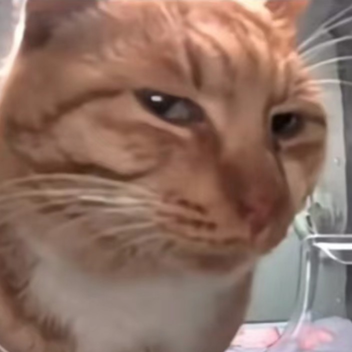 freshguy.eth Ethereum Name Service (ENS and .eth domain) PFP