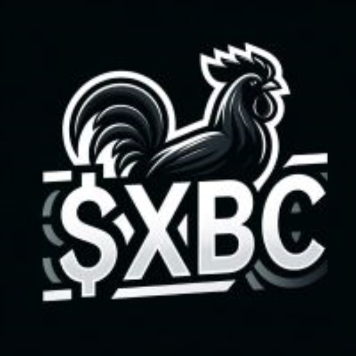 fund.xbcfund.eth Ethereum Name Service (ENS and .eth domain) PFP