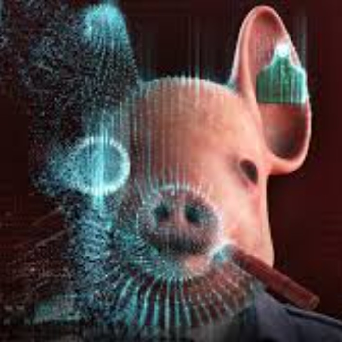 gadzila.eth Ethereum Name Service (ENS and .eth domain) PFP