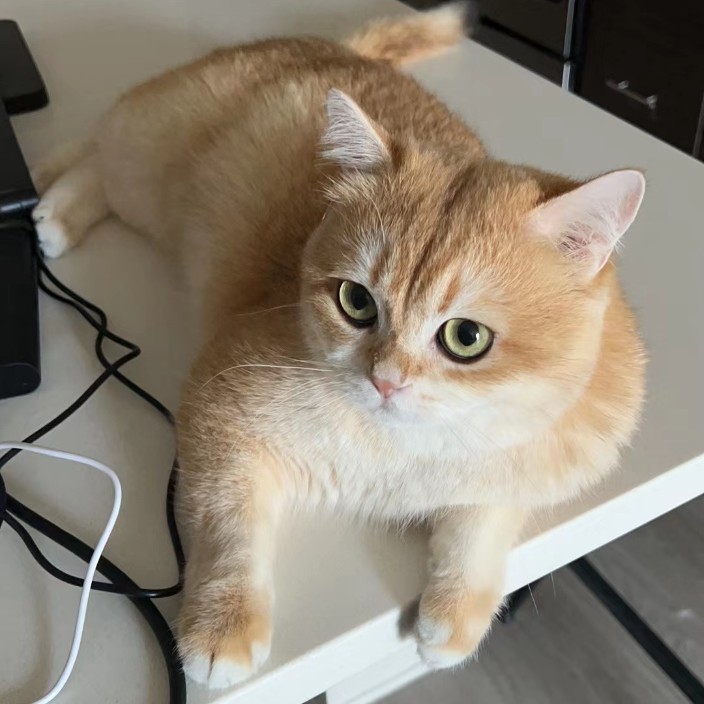 gaoyixiao.eth Ethereum Name Service (ENS and .eth domain) PFP