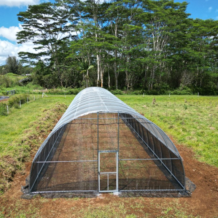 ggcohi.eth Ethereum Name Service (ENS and .eth domain) PFP