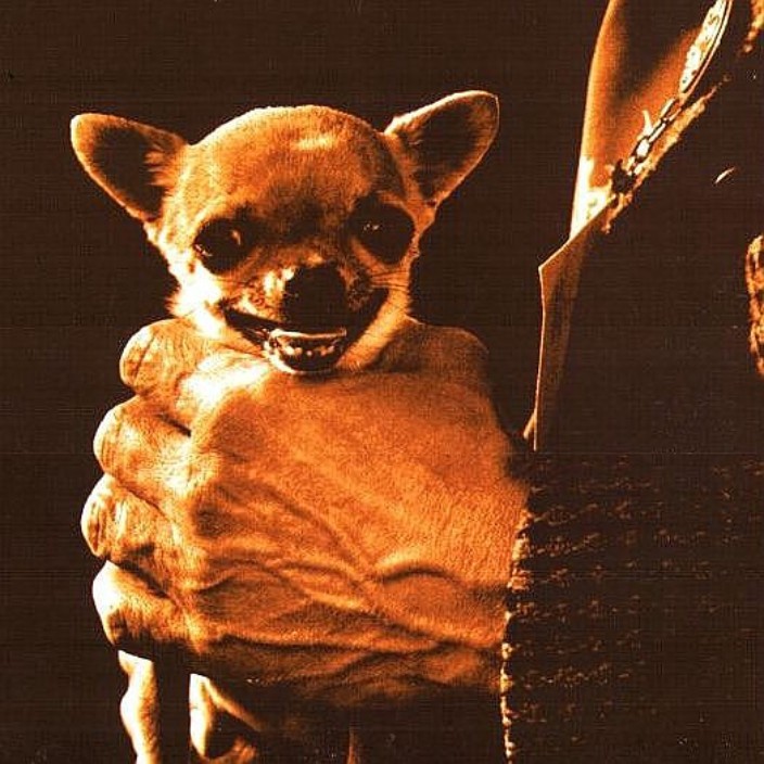 gobio.eth Ethereum Name Service (ENS and .eth domain) PFP