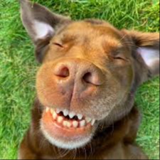 goodboy.eth Ethereum Name Service (ENS and .eth domain) PFP