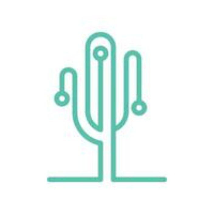 grandcactus.eth Ethereum Name Service (ENS and .eth domain) PFP