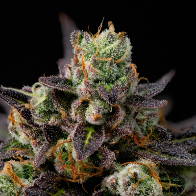 granddaddypurple.eth Ethereum Name Service (ENS and .eth domain) PFP