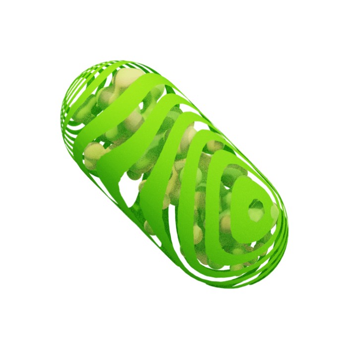 Greenpill Network (greenpillnetwork.eth) Ethereum Name Service (ENS and .eth domain) PFP