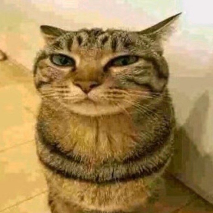 grisss.eth Ethereum Name Service (ENS and .eth domain) PFP